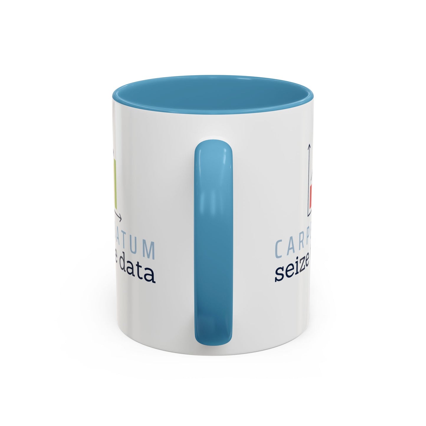 Carpe Datum - Seize the Data Mug